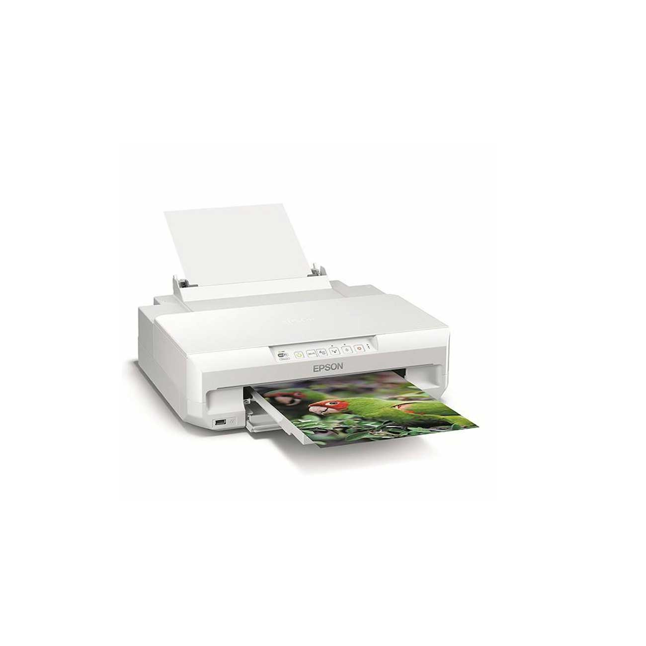 Epson XP55